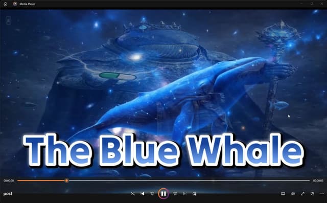 The Blue Whale